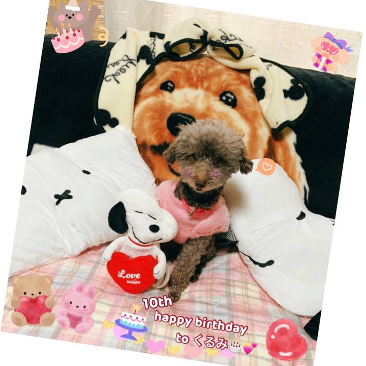 61971823 0673 45f4 b0b0 60be39295b3a 1648022224511