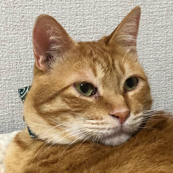 61974ecc 9ea7 443e 84f6 261114ecacbf 1559645164456