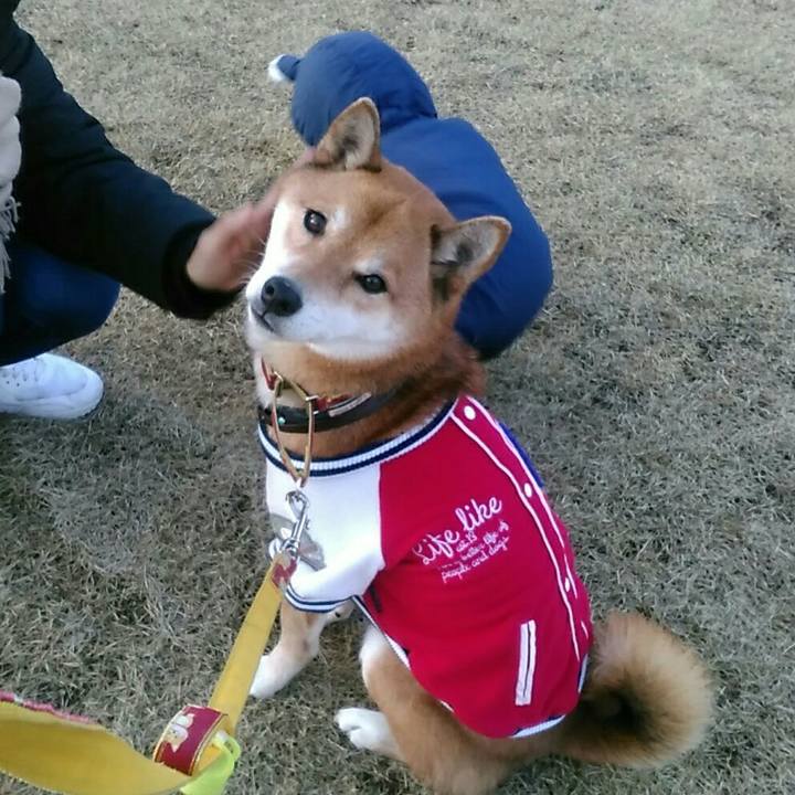 6197777c 2316 4aa8 b5a7 6d453c8a9a6b 1577279189159