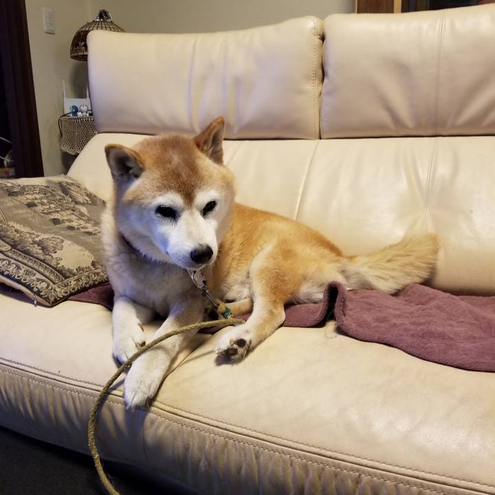 6197a11e a0ff 4961 80c1 5cb45fb6402e 1725232751671