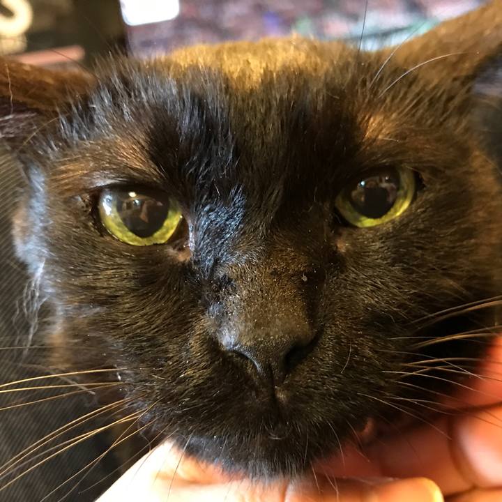 6197c274 76bd 42f5 90d2 74023365efc9 1556738081675