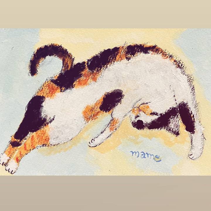 6197e442 71d8 4686 bd8c aeae8acd9b48 1746101105697