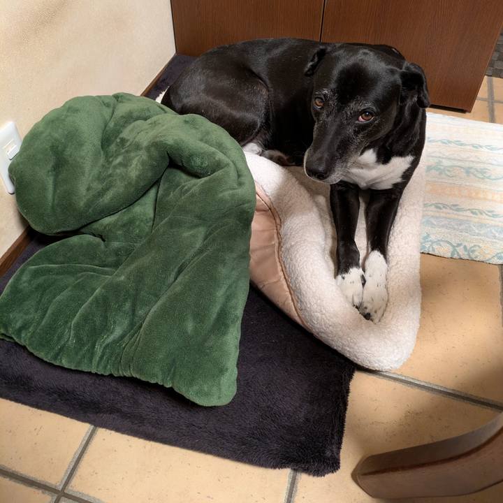 6197f34d 6ca1 4785 853b 0962205ed1b3 1763157355869