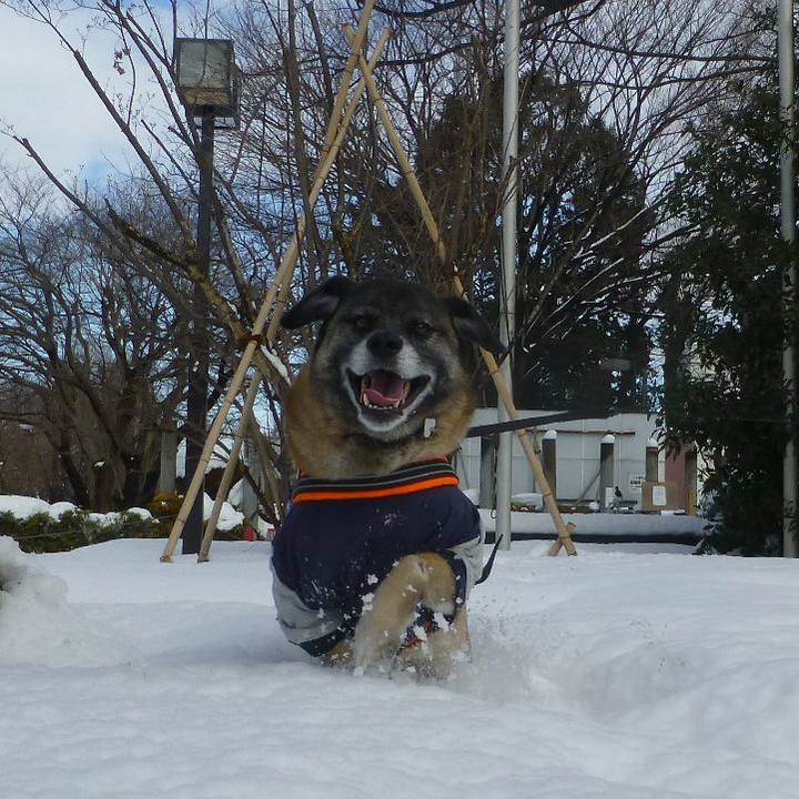 6197fc68 3ab1 47f4 8498 6afe6d4727e9 1579512991594