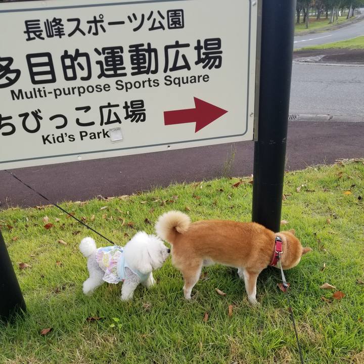 61980efa fc06 458b a306 3fc0caf24ee7 1729150105958