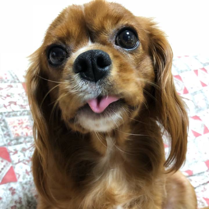 61982aaa 339b 4fc9 9d60 f73f4c0270b7 1534509255537