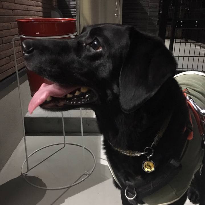 6198522c 836f 4d44 9b29 a7e34a1b6f56 1511350209334