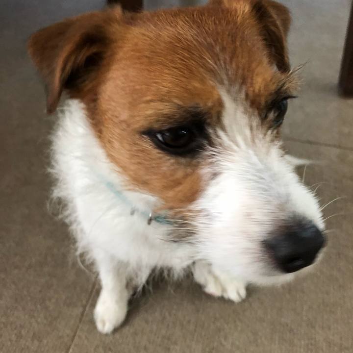 619863a4 033d 4e43 b48a c875ff151807 1524990938162