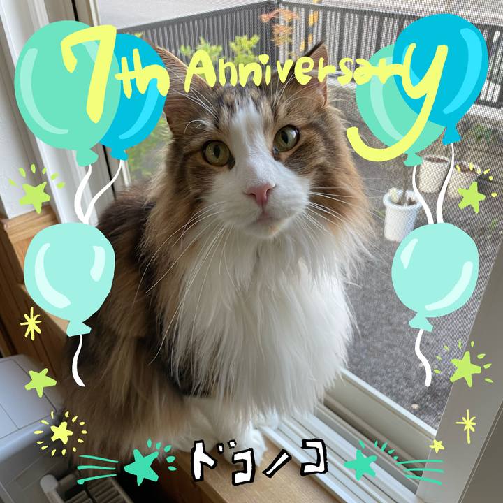 61988550 f4b0 47c4 b814 8936f4699ac7 1685994453672