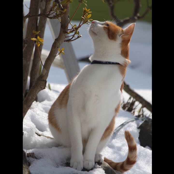 6198895e 8a74 48ad b4c0 deefa8140fb6 1517206346695