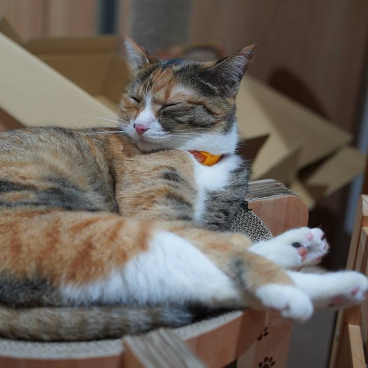 6198b111 92e5 429c b80f b31a68449c21 1625613463978