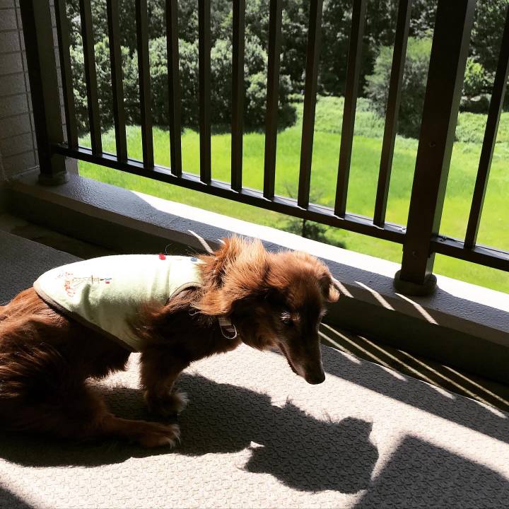 6198e30f 4288 4b5e 87ab a7c28bb4debc 1593652440500