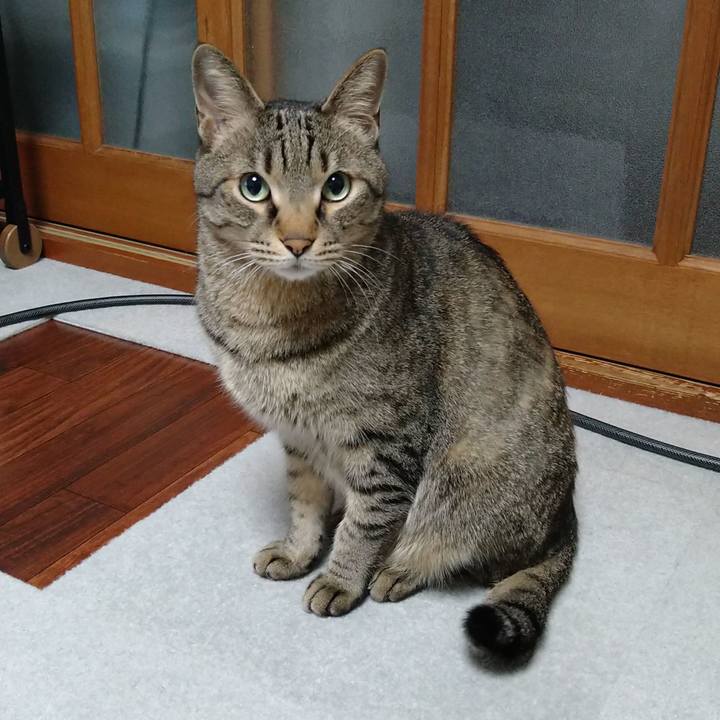 6198e58a 8e1b 437c 882f 7e2128848b2d 1649528237529