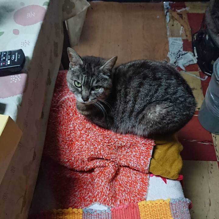 61990d87 e527 4a36 b73d 53201f9fc878 1558084804838