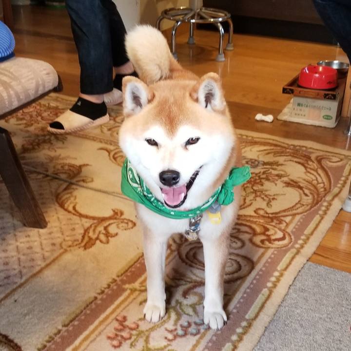 61990e79 1764 45f3 b062 44e13d676751 1556866076580