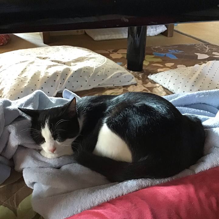 61991ae2 ed47 4bb3 92ce 3a550410640b 1634274478562