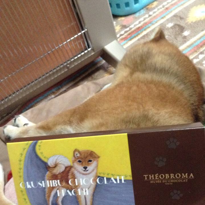 61993d22 a2c2 474b bdf9 e9dc47cb8848 1550189435888