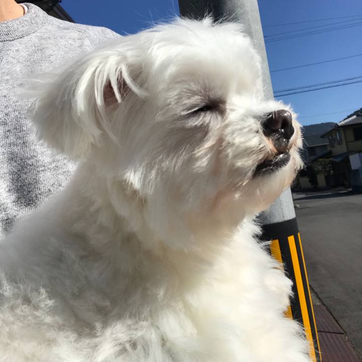 61994442 f6e1 4cd9 baf9 8cccc3741815 1520717725208