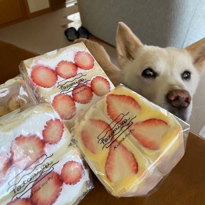 61996263 1690 41c5 8aef fe7f978514c6 1640909705842