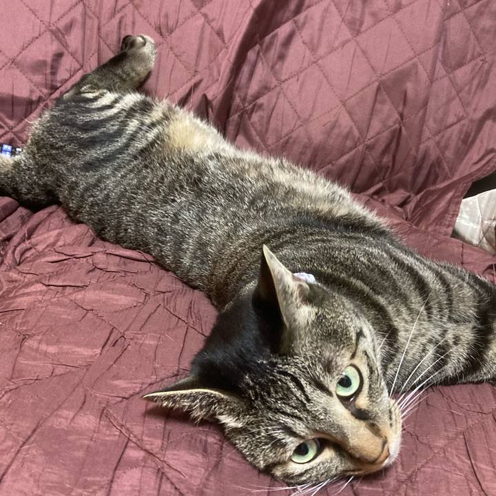 61997182 7ec4 444b 90ec 8569c5813d28 1603370833338