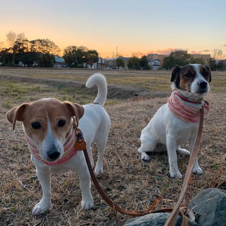 6199ddec 9e73 4df4 9b12 f71275e2734b 1610959968485