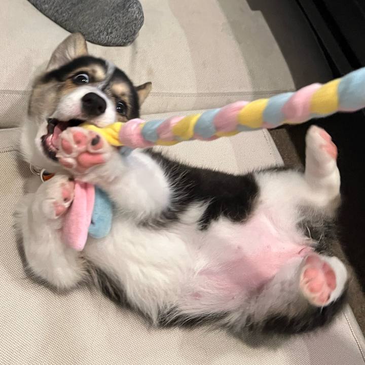 619a2fdd a80a 4064 a18d 75ec9400fb5f 1768574359134