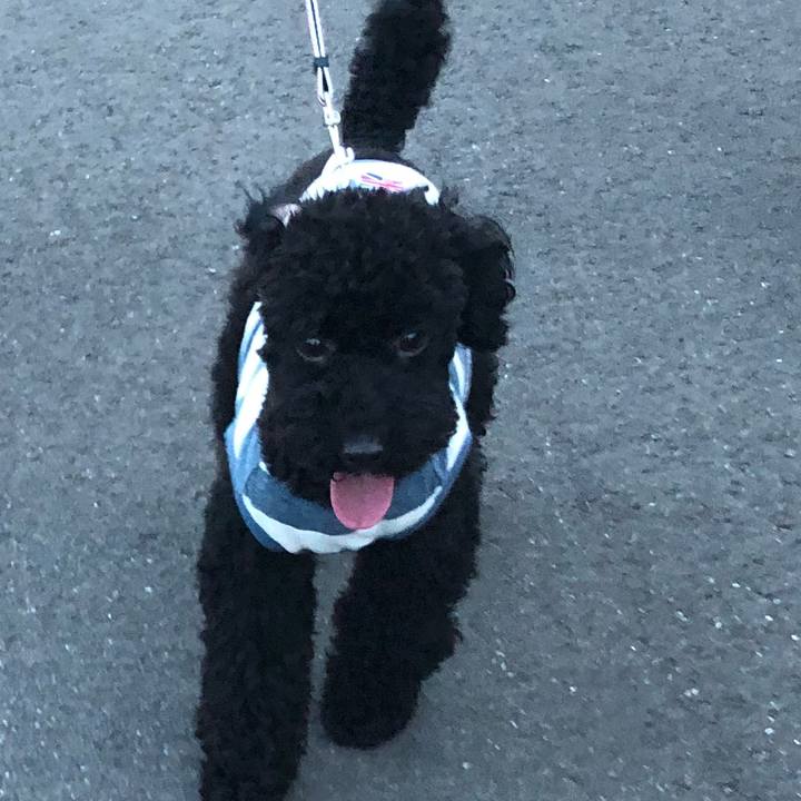 619a34b0 7549 4584 a904 66d13f4d60c0 1530007680107