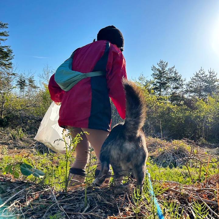 619a5e56 56ae 4101 a943 2be2b1c914af 1682231360013