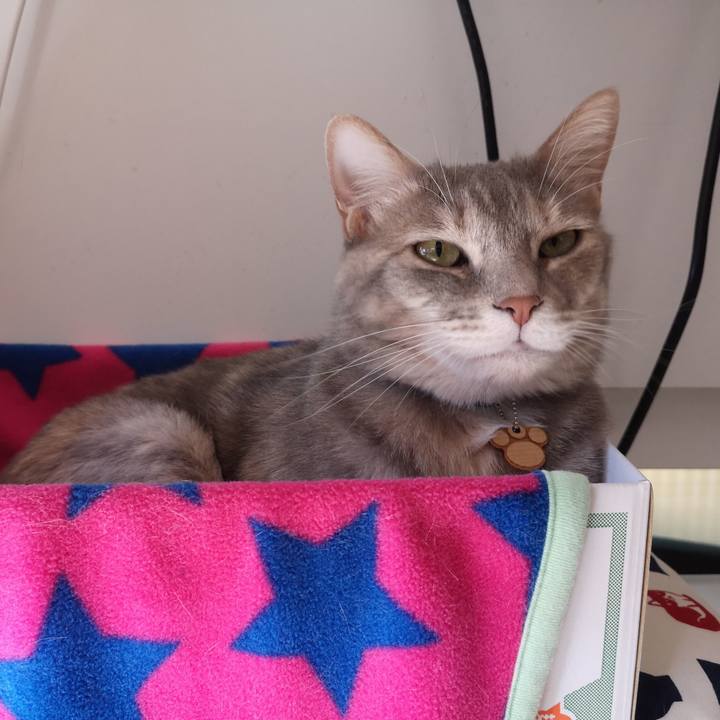 619a6c99 d7be 4672 a291 0f8b95ea72a8 1587544282905