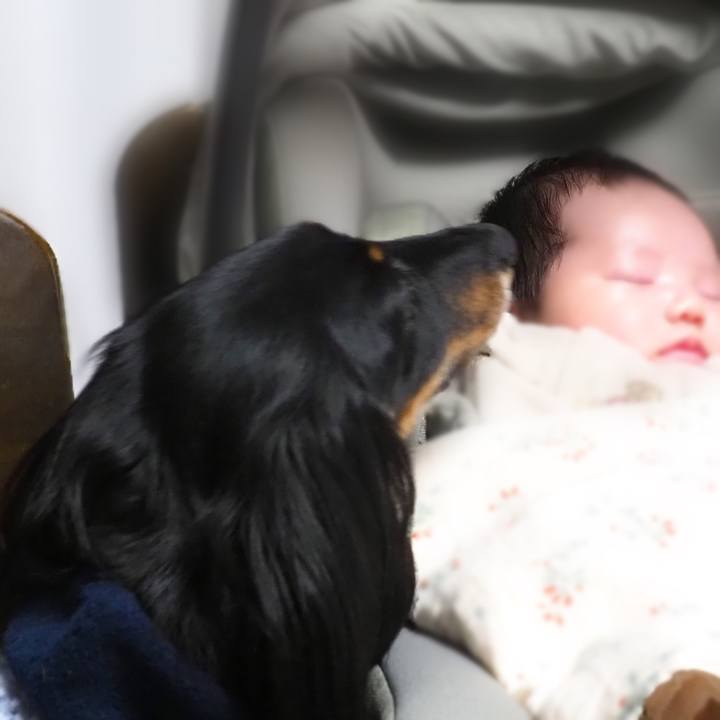 619add69 4271 4b48 9de9 1dc5b8997b02 1676788941770