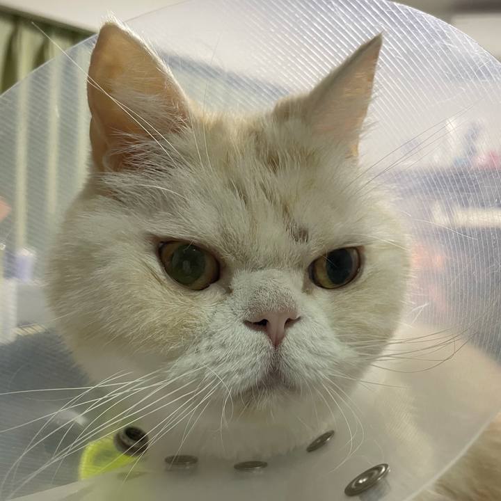 619b4c6f 0e3a 44d0 bc6c 85ce1bdefe4c 1762520145860