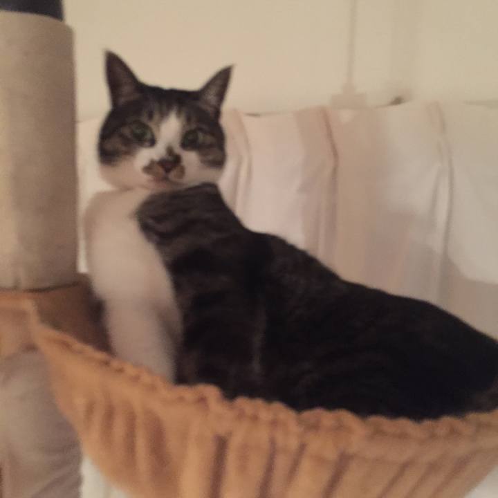 619b50af 230f 4d3d 87a4 13c4c9b89345 1514296622657