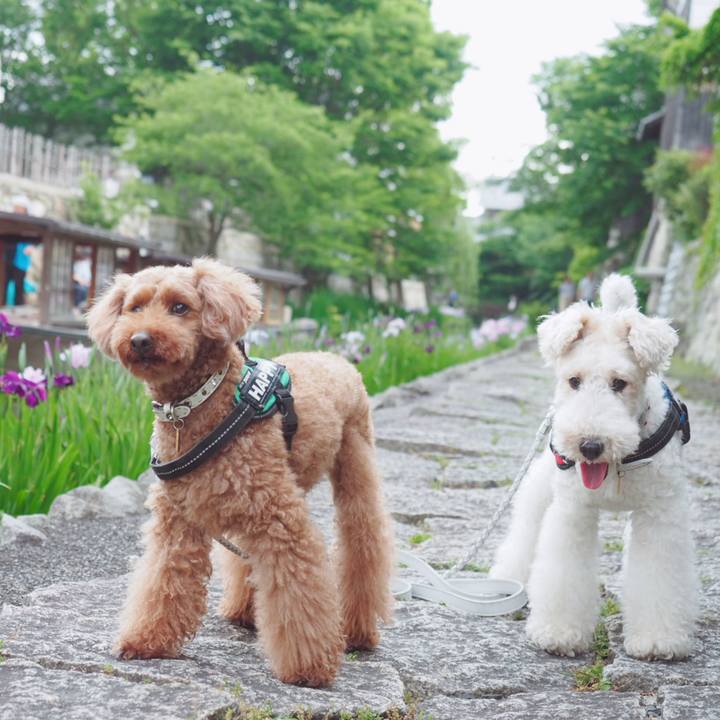 619b5944 b775 4bb1 af8e 76bff55063ed 1560163083283