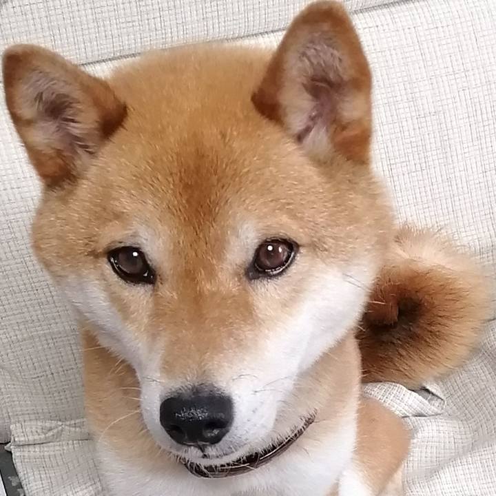 619b5e3f 6eb8 440e 8bbb dedb9131f960 1593332346346