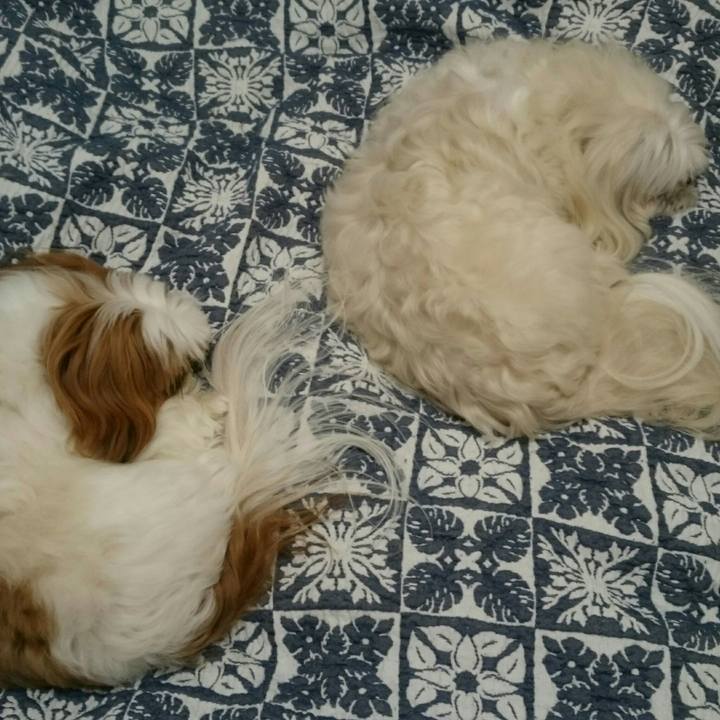 619bda0e 7f33 4d7f 9209 197c8c0e7d51 1521639828225