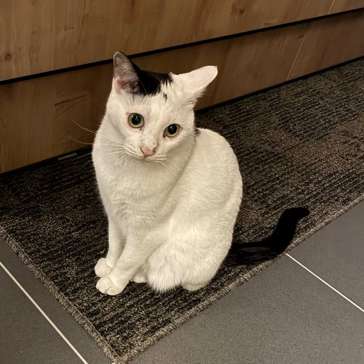 619beb05 3ee2 460e b26e 18b9ab2bcf9e 1756428411395