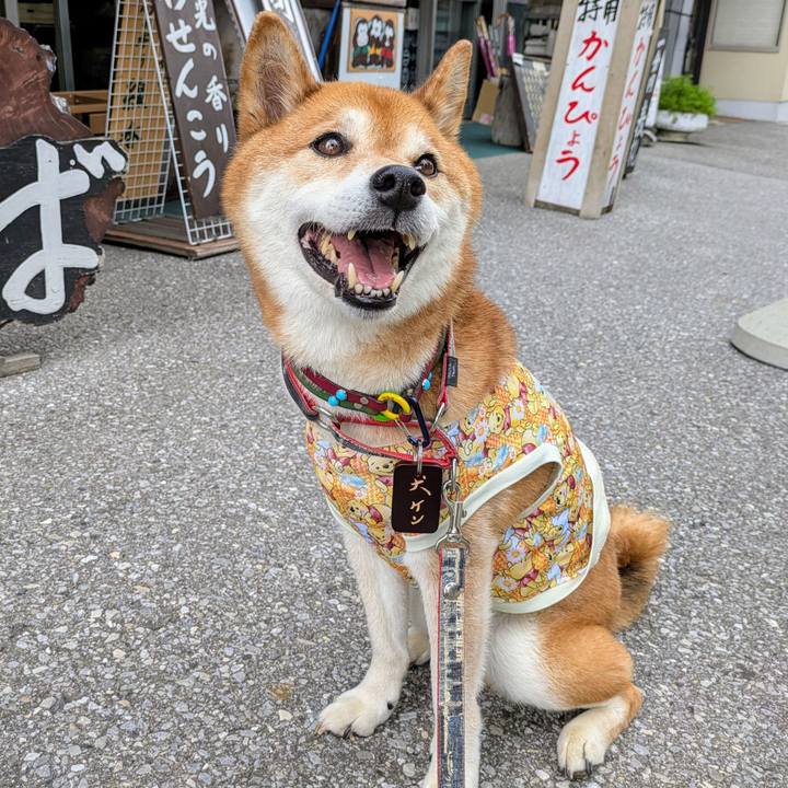 619c1b1d 6751 4048 a589 4856c238cd98 1752062731470