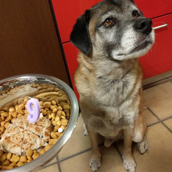 619c8f63 ab13 4216 8d7c 0cb24780da6b 1707355726786