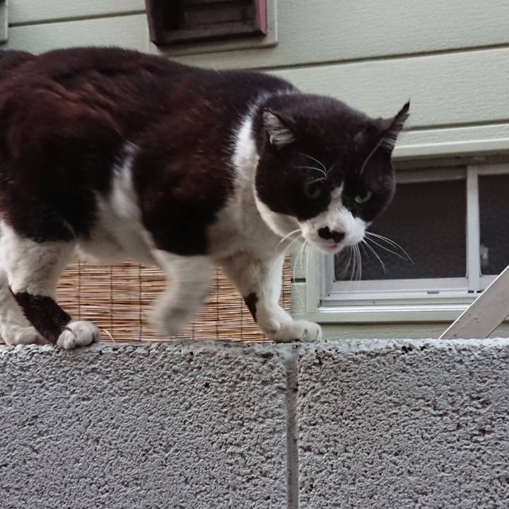 619cc52e 3e50 4d87 99bd 837168ee5045 1613029751828