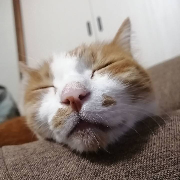 619cd62b ded3 4fca 9838 7856e705e22c 1642251401669