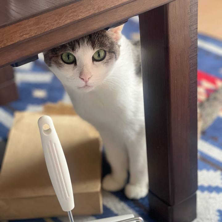 619cd88a 57d1 45eb 84da a99bf1e32563 1634946702446