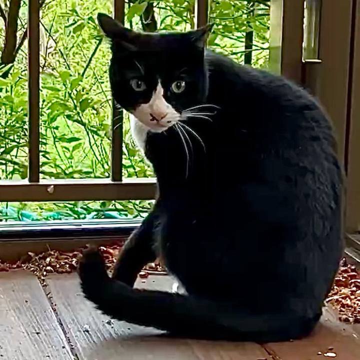 619d1f03 a2d3 4691 8bf5 e2ad01162f6e 1743077249057