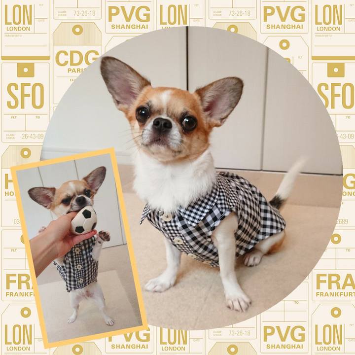 619d1f1d 63e7 4842 bec0 dd160d992b3d 1595640670213