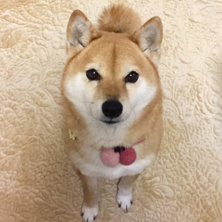 619d28da a371 4488 8c58 437fb50e7ad0 1519290791299