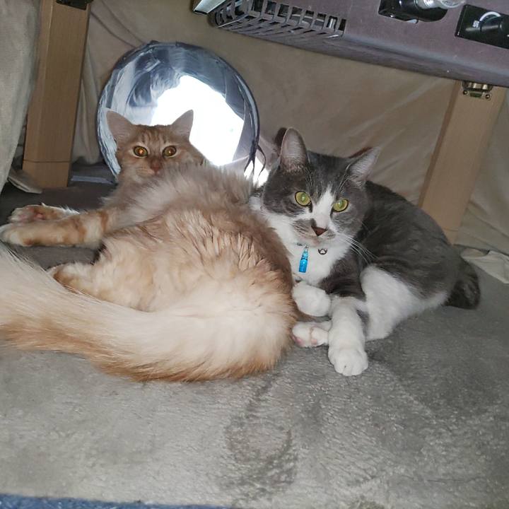 619d3736 4800 457f 9d6e c2f7070c08dd 1672552907368