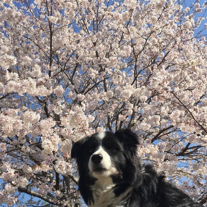 619d8540 d010 4596 b2f1 1fb37a6b6e4b 1586132674174