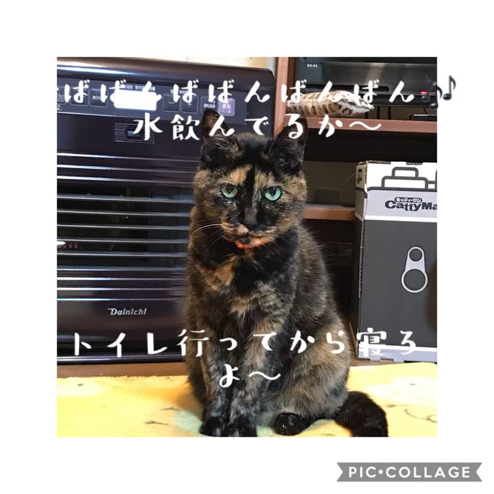 619d96aa c0d9 418f 9177 b528f424fdaf 1578406174906