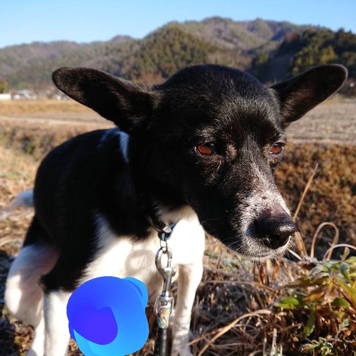 619d9ad4 1b1a 4ff6 89a7 964fcb69d126 1547710059898