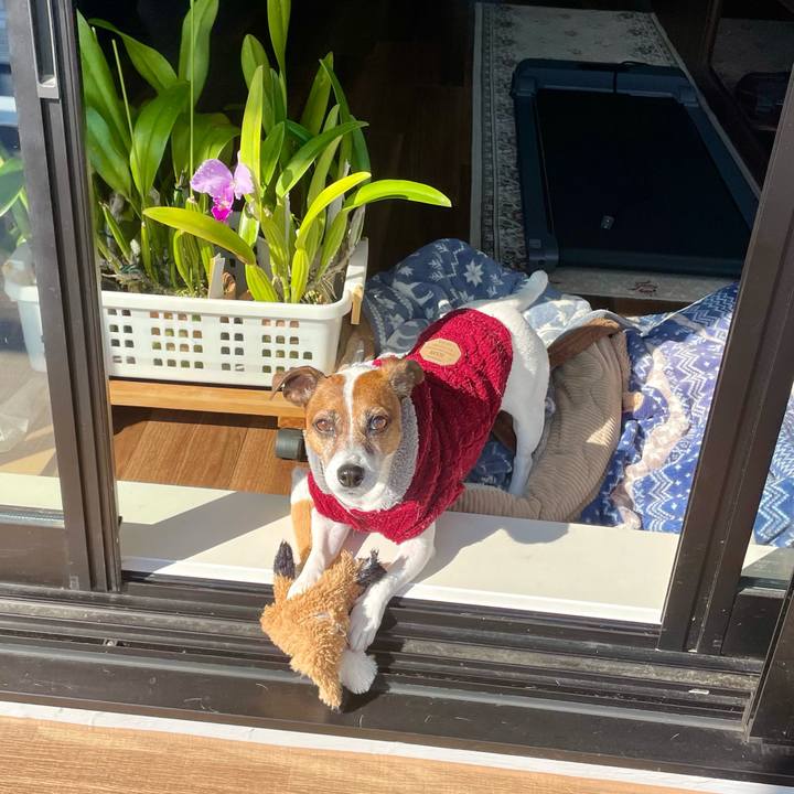 619dbd0e dcdf 4b25 9f5b 1a202c671ff0 1739323409578