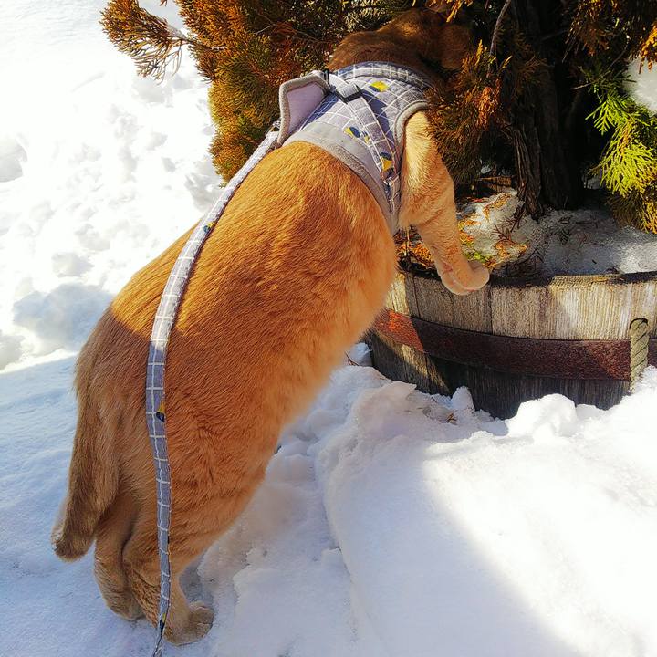 619dfb17 335e 4243 97f3 6ebc20600924 1677977659485